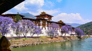 Punakha Dzong-bhutan