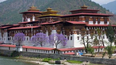Punakha-Dzong-bhutan trip