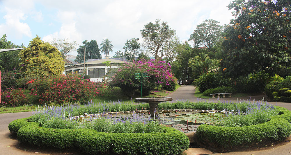 Botanical garden srilanka