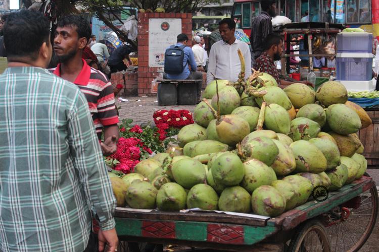 coconut-in-street-very-po