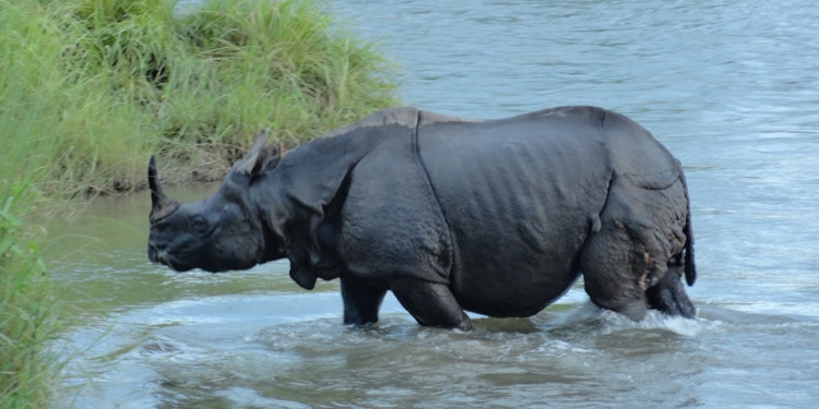 Chitwan National Park