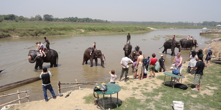 riverside-chitwan