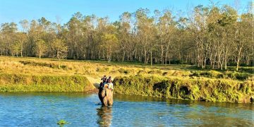 national-park-elephant