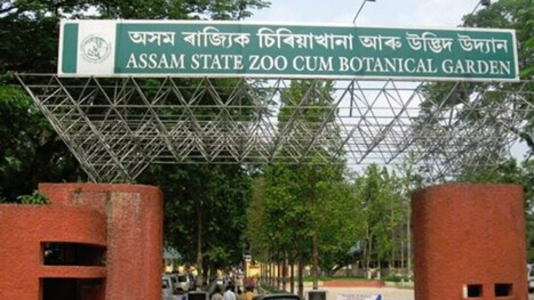 Assam-State-Zoo-and-Botanical-Garden
