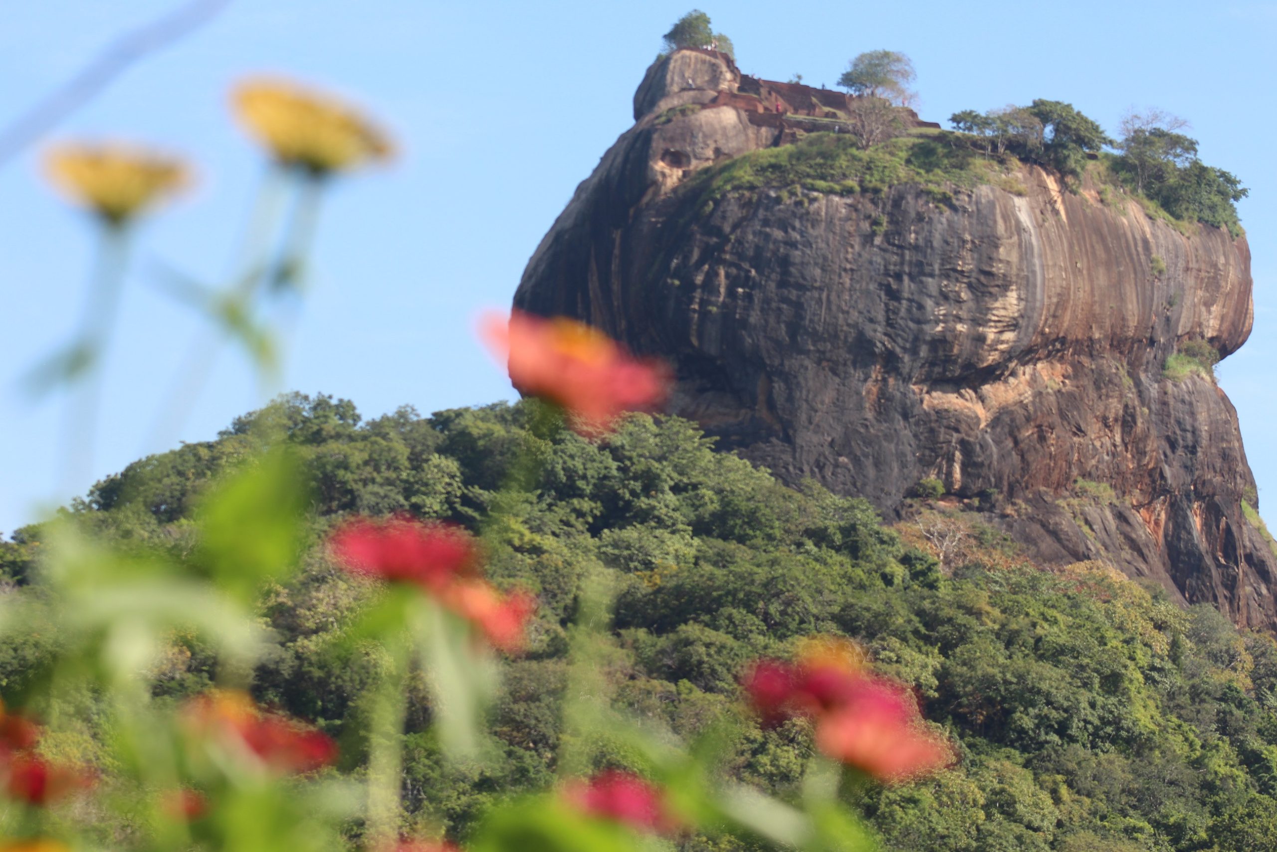 sigiriya-fort-sri-lanka