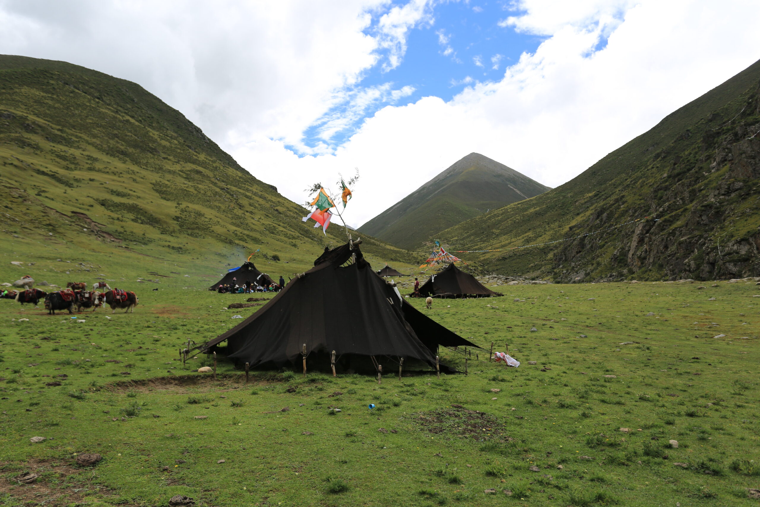 Aku Tonpa nomad camp 3