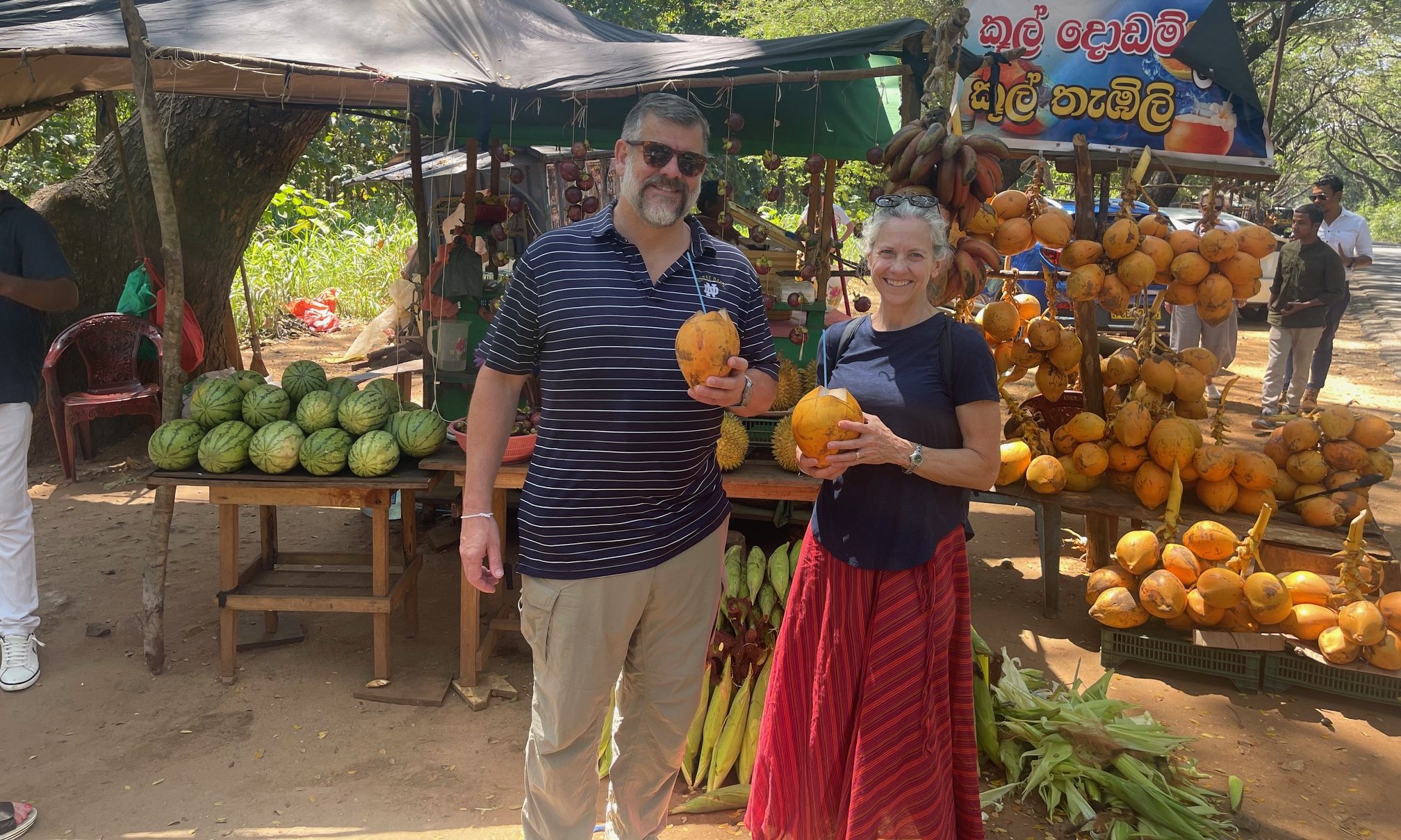 everywhere coconut in srilanka