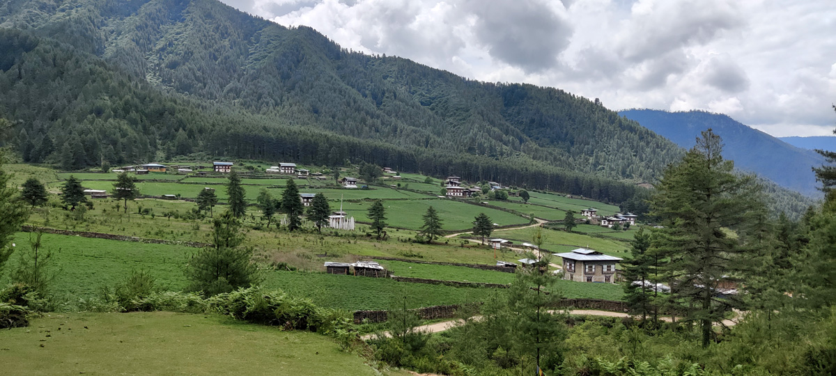 Lush green forest surrounding Phobjikha Valley