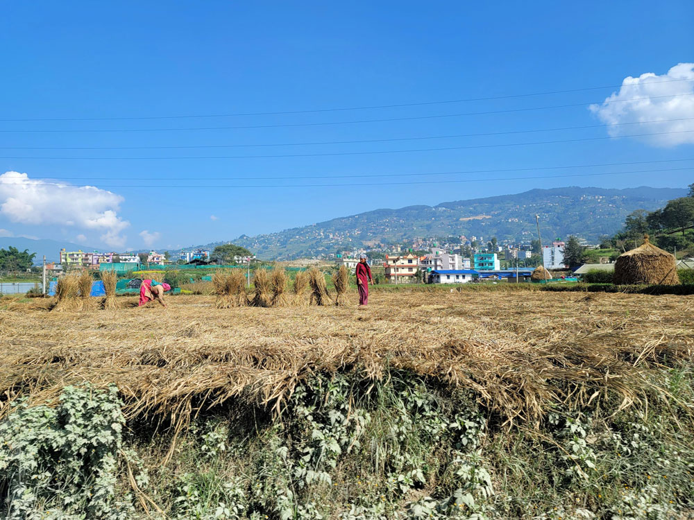 local life in nepal