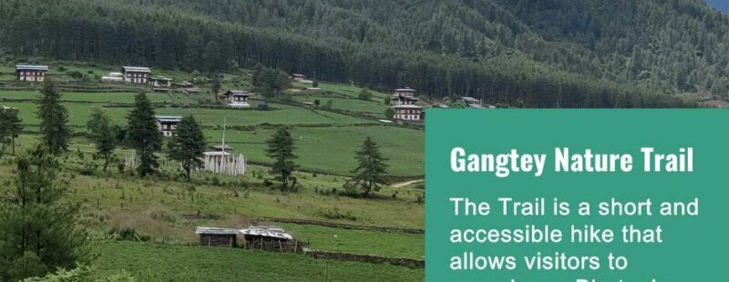 Gangtey Nature Trail in Phobjikha Valley