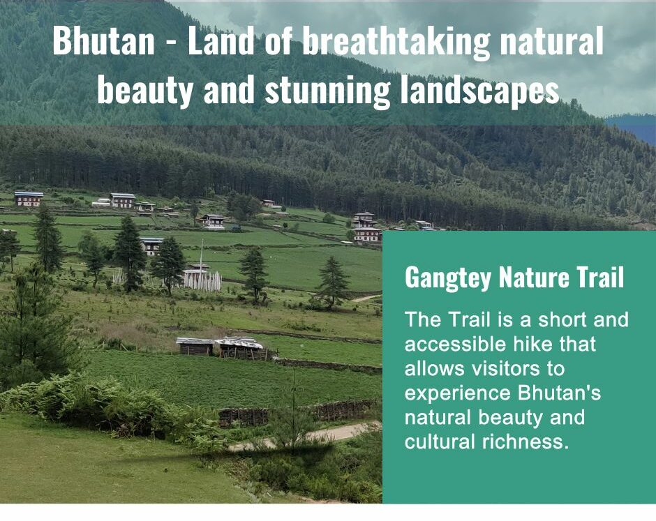 Gangtey Nature Trail in Phobjikha Valley