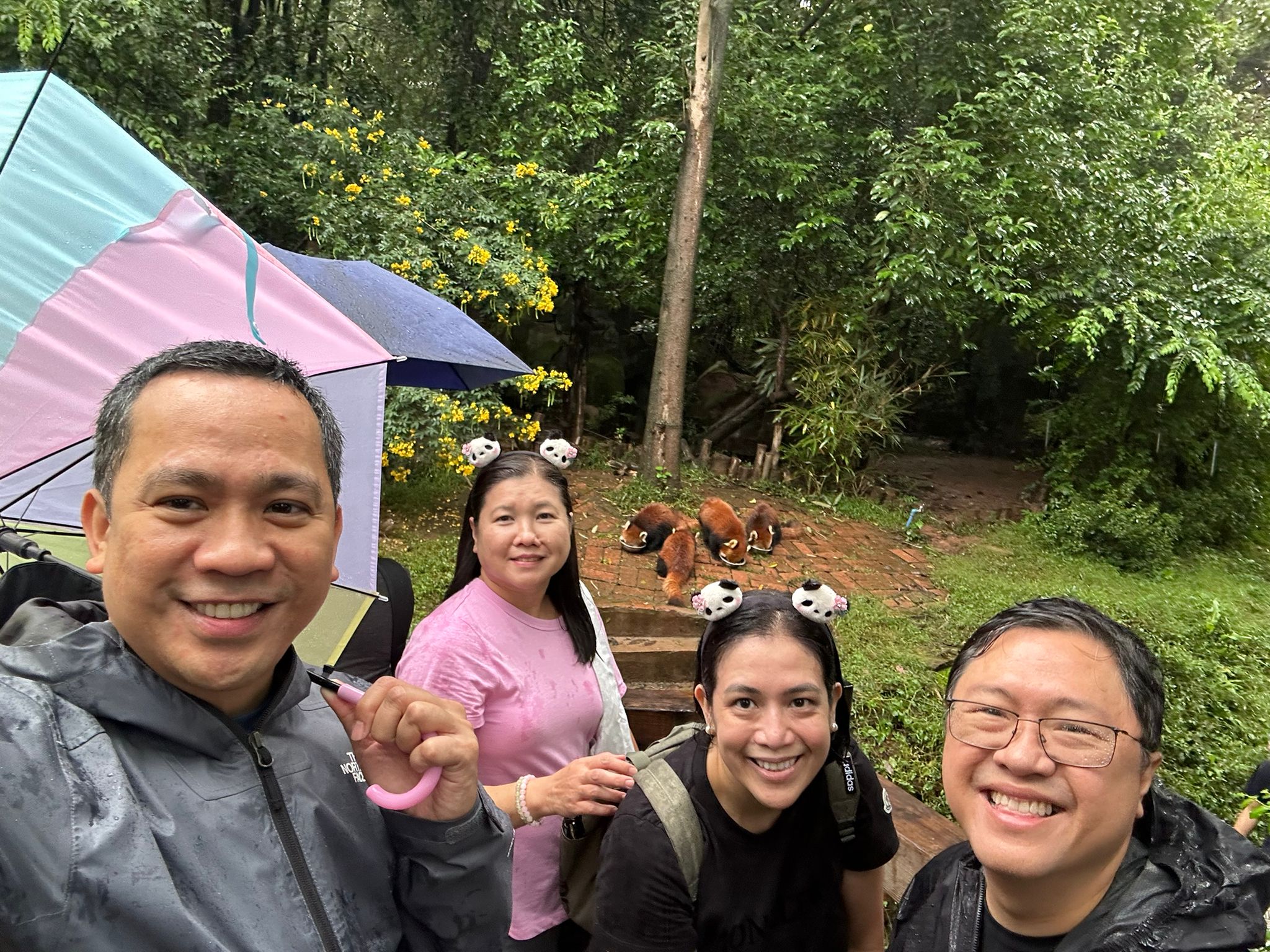 Top Wildlife Destinations in Asia for 2027 12 Chengdu Panda Base wildlife tour featuring giant pandas