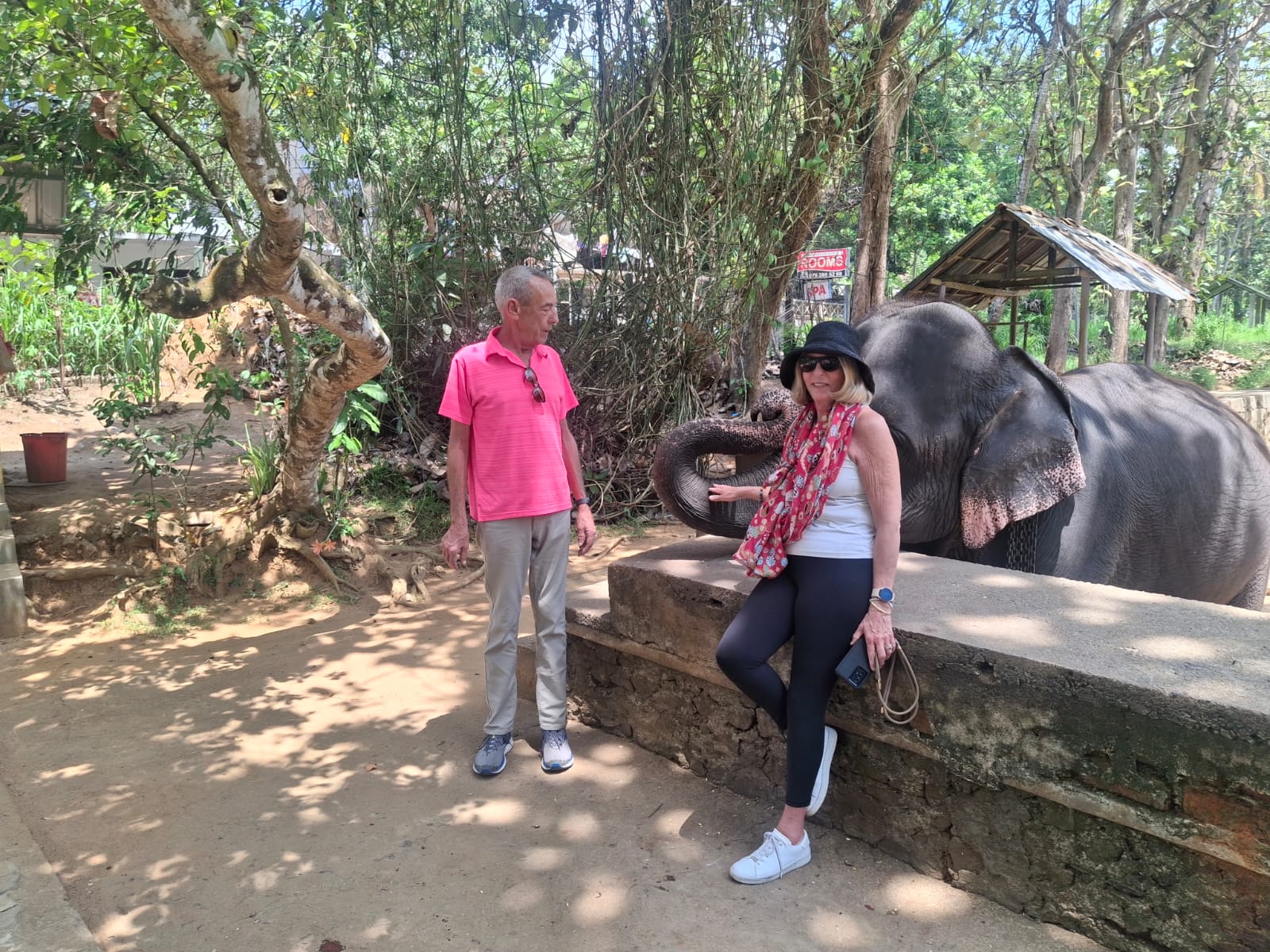 Top Wildlife Destinations in Asia for 2027 13 Pinnawala Elephant Orphanage Center Sri Lanka